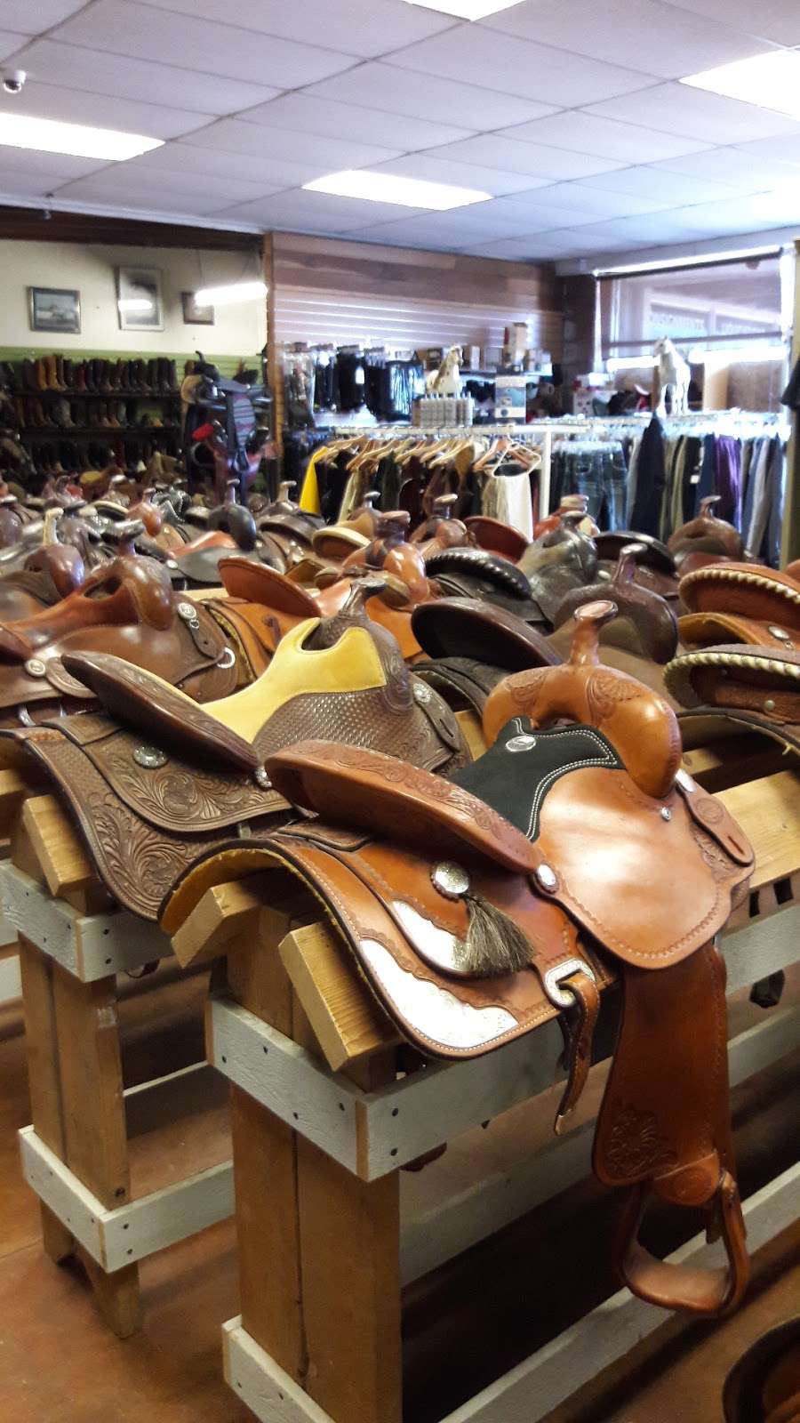 Saddles To Boots | 6140 Sebastopol Ave, Sebastopol, CA 95472, USA | Phone: (707) 823-9700