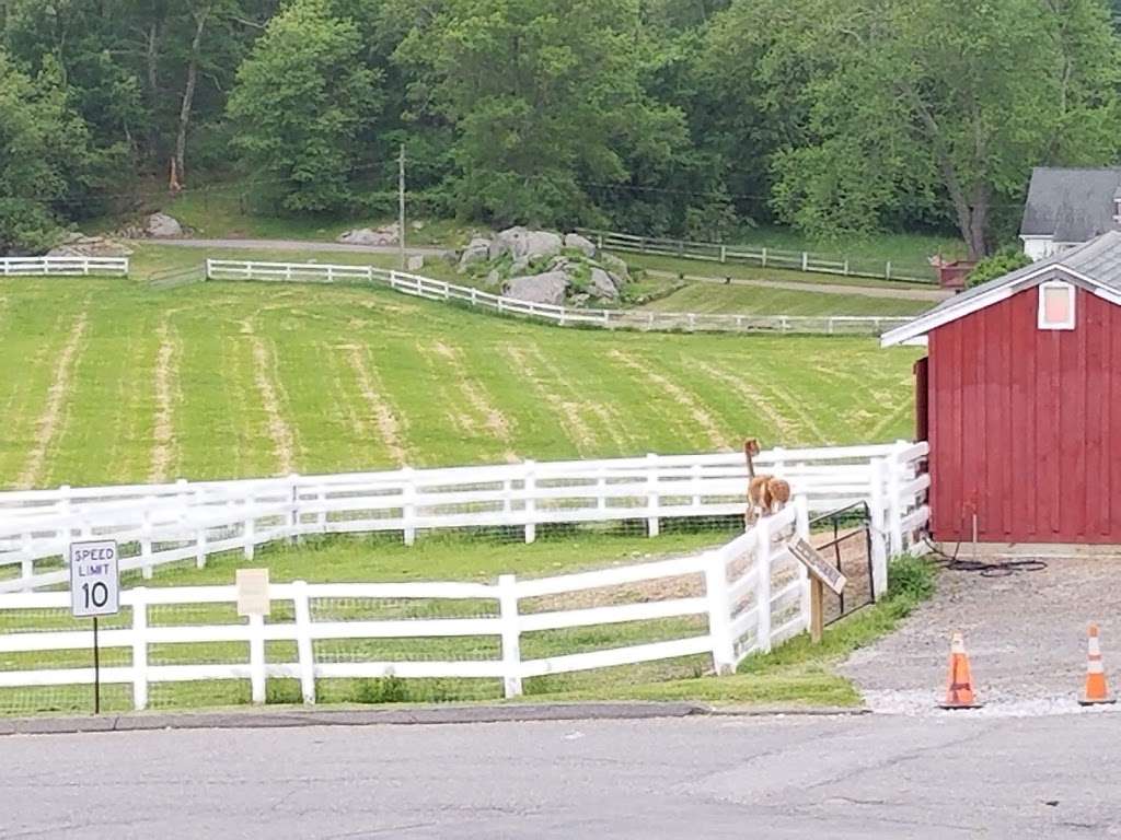 Tilly Foster Farm Museum | 100 NY-312, Brewster, NY 10509 | Phone: (845) 808-1000