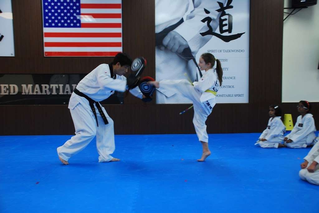 Top Mixed Martial Arts | 572 Allen Rd, Basking Ridge, NJ 07920, USA | Phone: (908) 506-1016