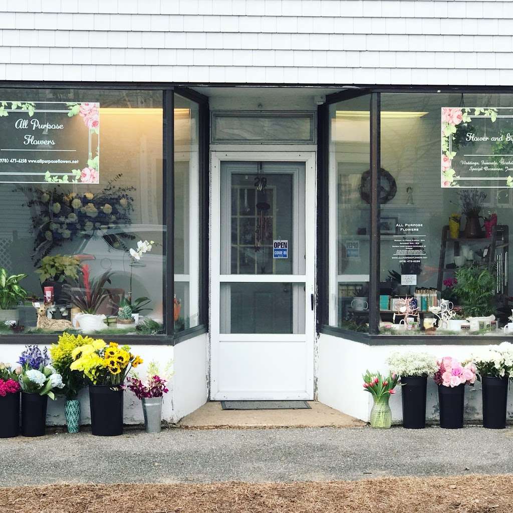 All Purpose Flowers | 29 Lexington Ave, Gloucester, MA 01930, USA | Phone: (978) 526-1241