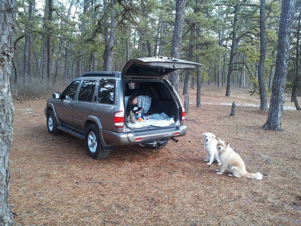 Goshen Pond Camping Area | Wharton State Forest, Shamong, NJ 08088, USA | Phone: (609) 268-0444