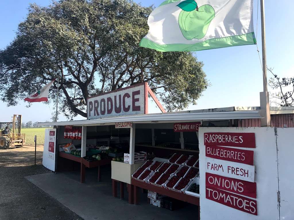 Gonzalez Produce | 696 Wood Rd, Oxnard, CA 93033, USA | Phone: (805) 947-6764