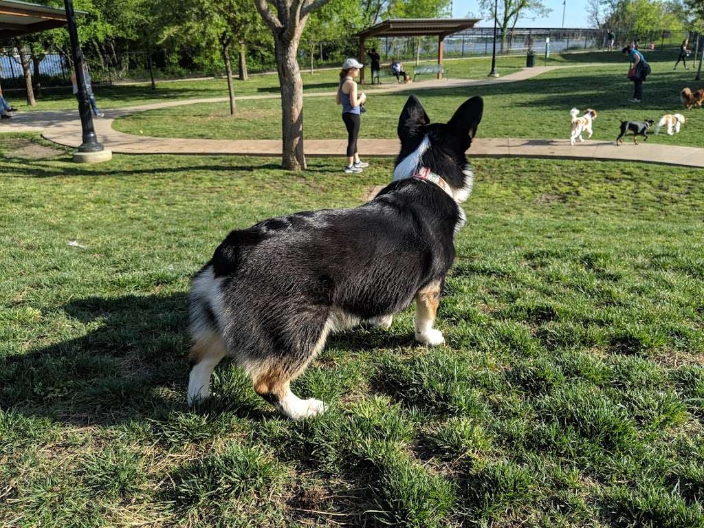 White Rock Lake Dog Park | 8000 E Mockingbird Ln, Dallas, TX 75218, USA | Phone: (214) 671-8001