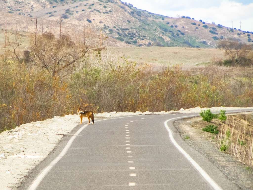 San Luis Rey River Trail | San Luis Rey River Trail, Oceanside, CA 92058, USA