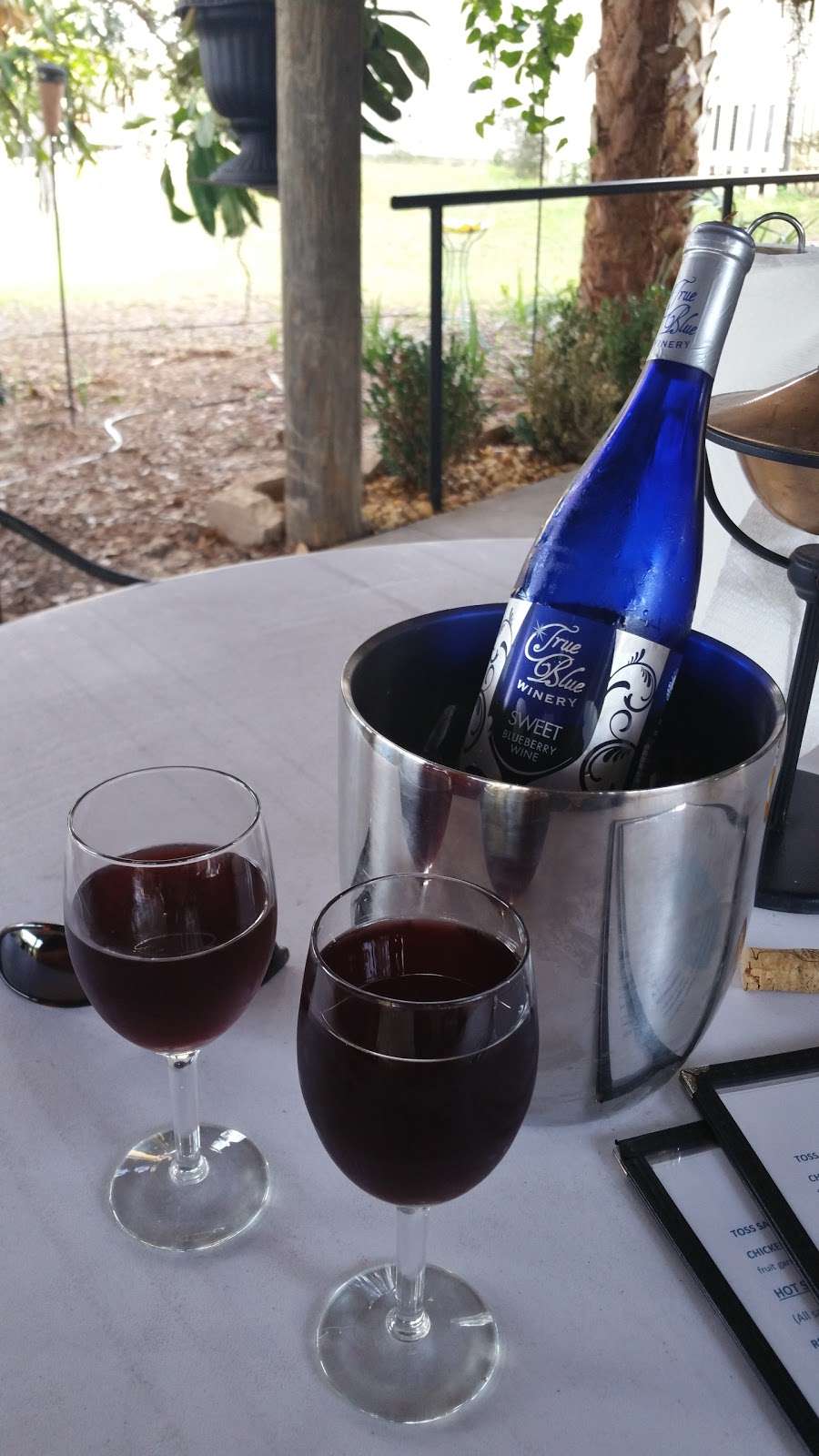 True Blue Winery | 604 Pink Apartment Rd, Davenport, FL 33837 | Phone: (863) 419-4400