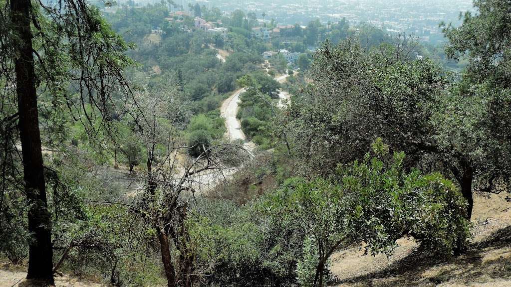 Bird Sanctuary Griffith Park | 2900 N Vermont Ave, Los Angeles, CA 90027 | Phone: (323) 666-5046