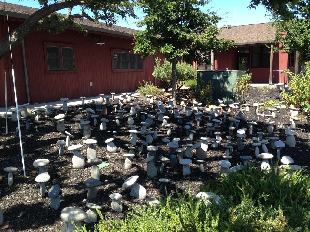 Rock Mushroom Garden | 1910-1998 Mulberry St, Yountville, CA 94599