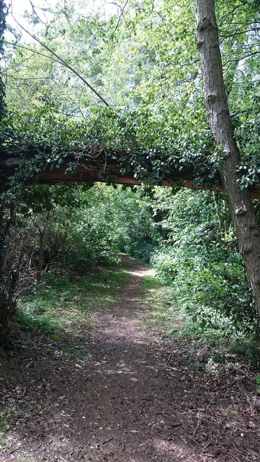 Marshgate Spring Nature Reserve. | Edinburgh Way, Harlow CM20 2SU, UK