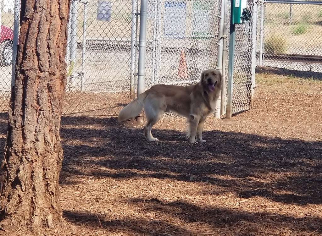 Knoll Hill Dog Park | 700 N Front St, San Pedro, CA 90731