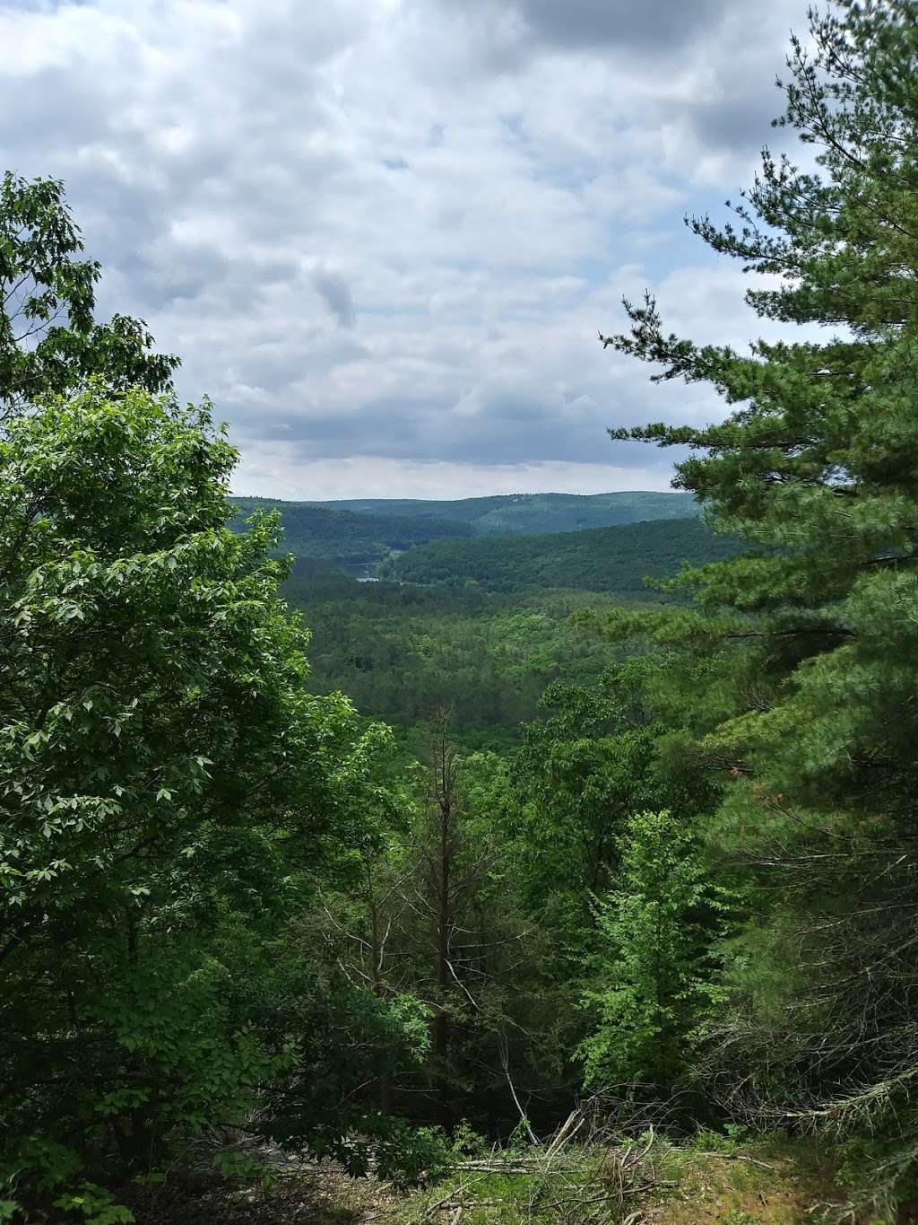 Tusten Mountain Trail | Narrowsburg, NY 12764, USA