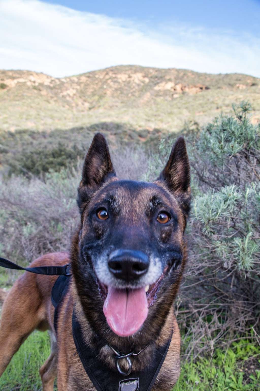 Coal Canyon Ecological Reserve | Coal Canyon Trail, Anaheim, CA 92808 | Phone: (858) 467-4201