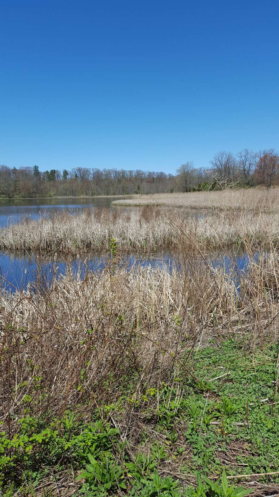 Hyper Humus Marsh | Newton, NJ 07860, USA