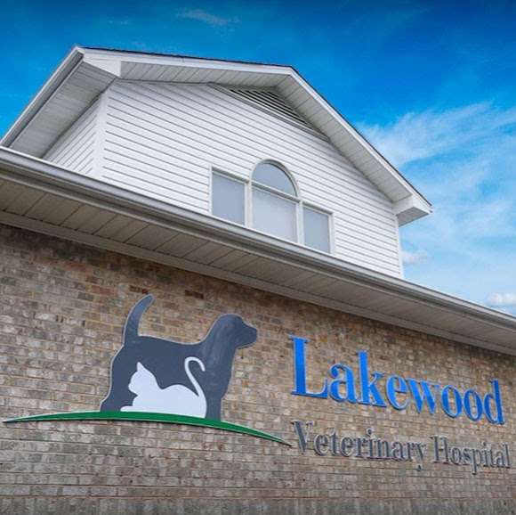 Lakewood Veterinary Hospital | 813 Williamson Rd, Mooresville, NC 28117, USA | Phone: (704) 662-6077