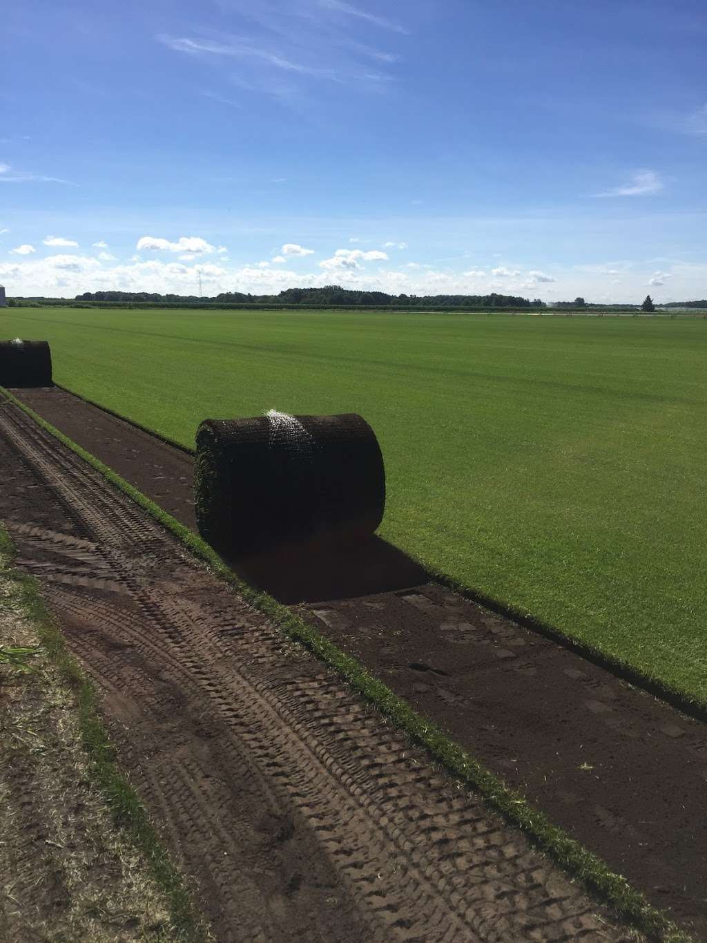 Payne Sod Farm | 8332 N 2250W Rd, Manteno, IL 60950, USA | Phone: (815) 468-6400