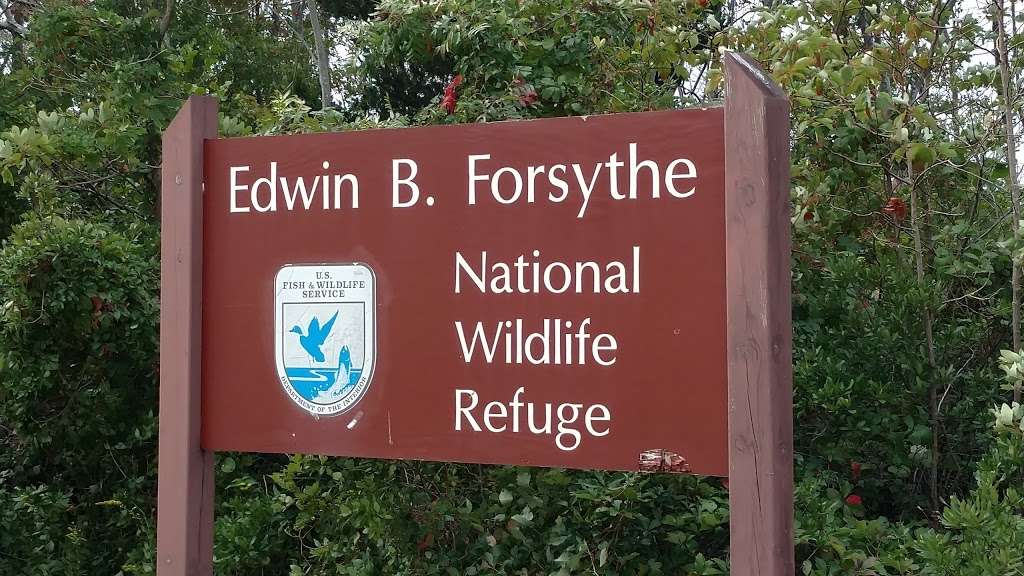 Edwin B Forsythe National Wildlife Refuge | Barnegat, NJ 08005, USA