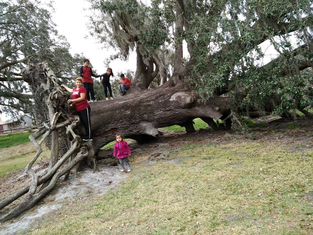 Pioneer Village at Shingle Creek | 2491 Babb Rd, Kissimmee, FL 34746, USA | Phone: (407) 396-8644