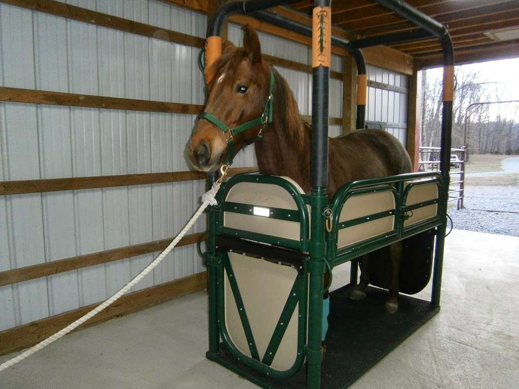Woods End Equine Veterinary Services | 67 Rose Morrow Rd, Sussex, NJ 07461, USA | Phone: (973) 209-4994