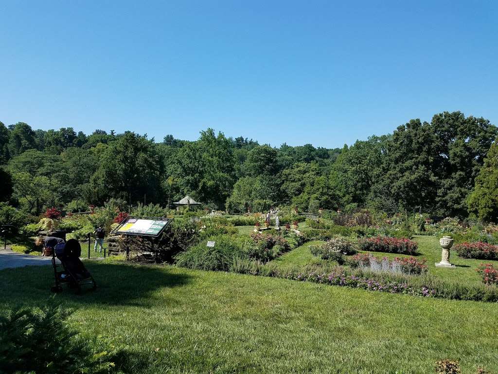 Morris Arboretum of the University of Pennsylvania | 100 E Northwestern Ave, Philadelphia, PA 19118, USA | Phone: (215) 247-5777