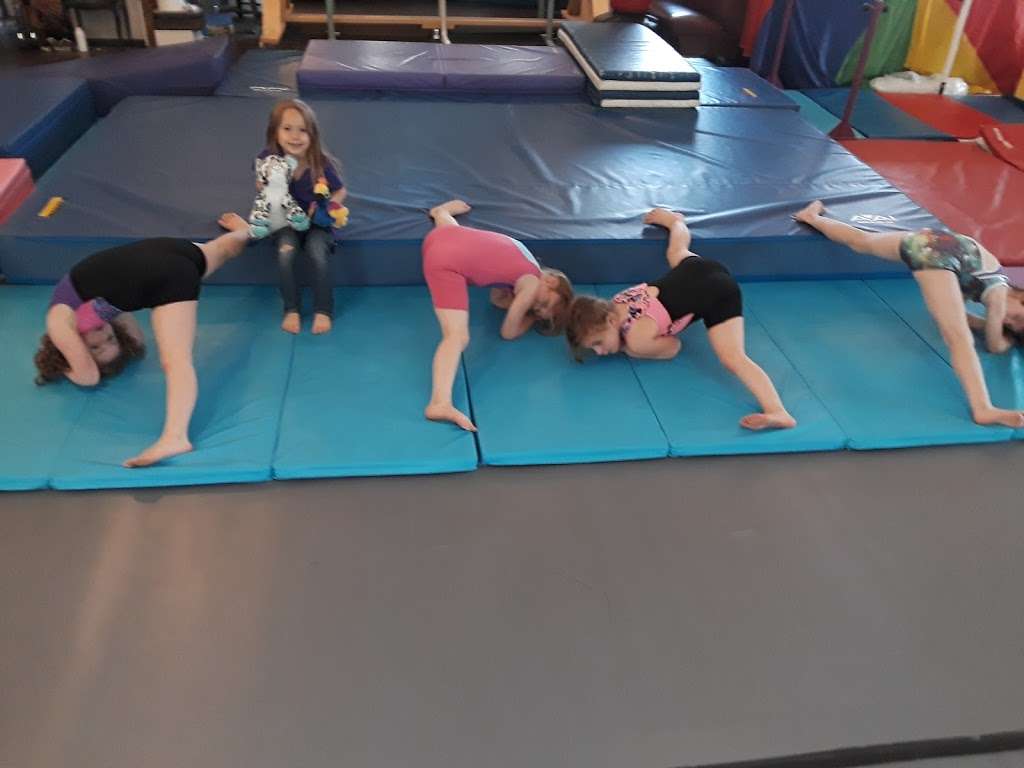 Laces Dance Tumble & Cheer! | 12 Main St, Brookline, NH 03033, USA | Phone: (508) 405-6493