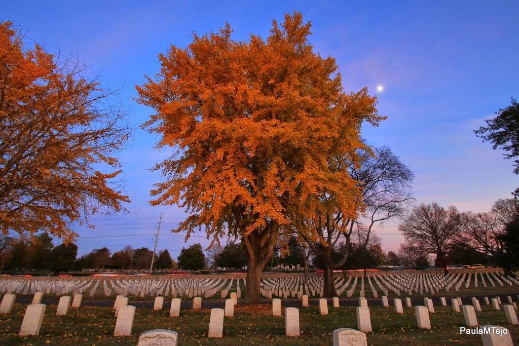 Nashville National Cemetery | 1420 Gallatin Pike S, Madison, TN 37115, USA | Phone: (615) 860-0086