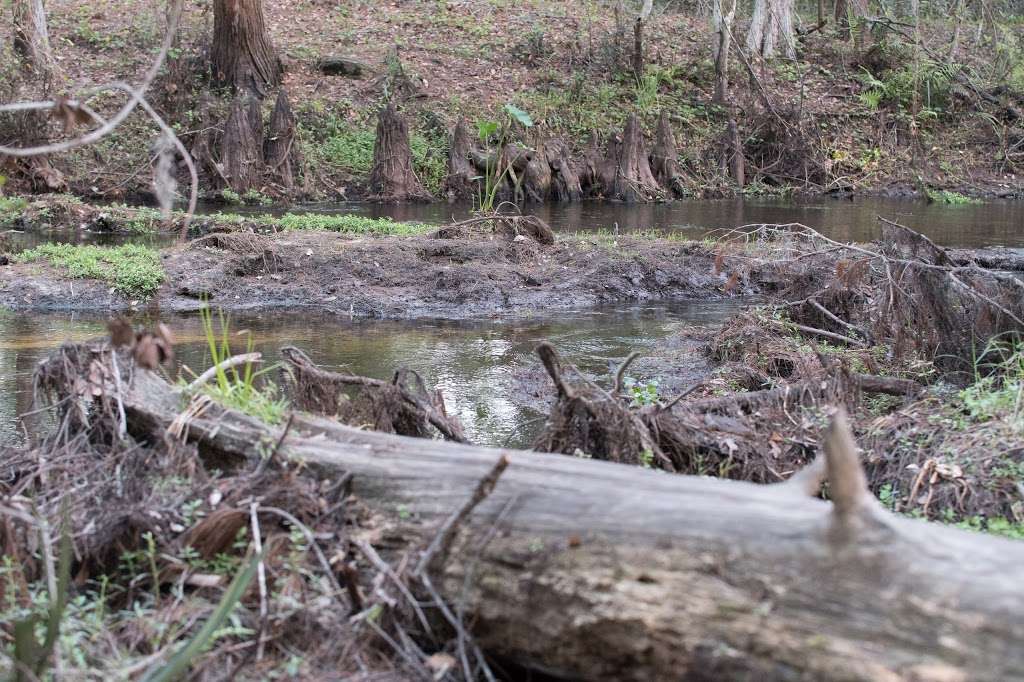 Shingle Creek Trailhead | 13400 Town Loop Blvd, Orlando, FL 32837, USA