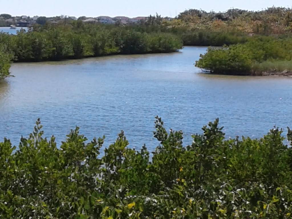 Bullfrog Creek Mitigation Park | 6821 Blue Moon Way, Sun City Center, FL 33573, USA | Phone: (863) 648-3200 Bullfrog Creek Mitigation Park | 6821 Blue Moon Way, Sun City Center, FL 33573, USA | Phone: (863) 648-3200