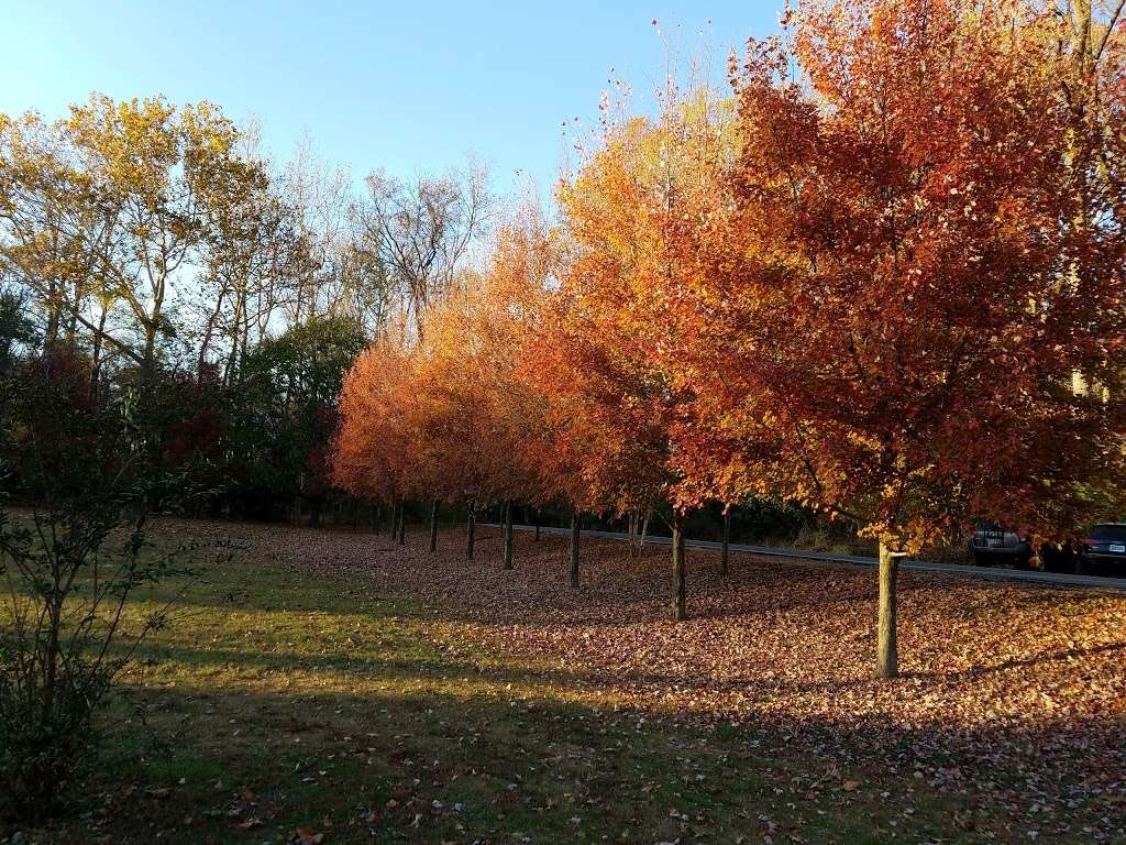 Park at Beach and Cedar | Rock Creek Trail, Bethesda, MD 20814, USA