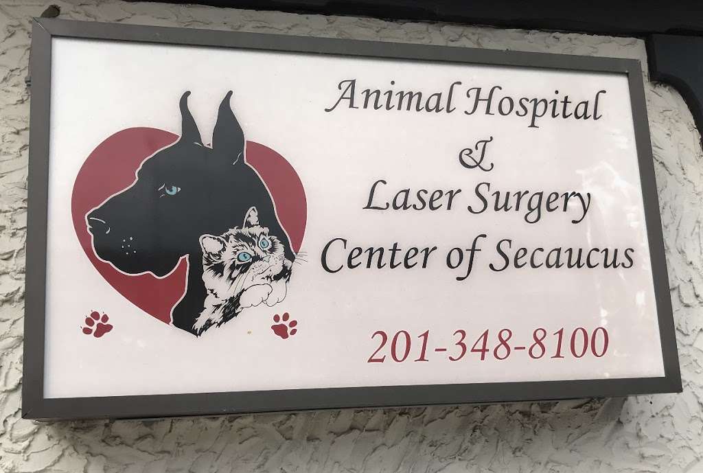Animal Hospital and Laser Surgery Center of Secaucus | 100 Dorigo Ln, Secaucus, NJ 07094 | Phone: (201) 348-8100