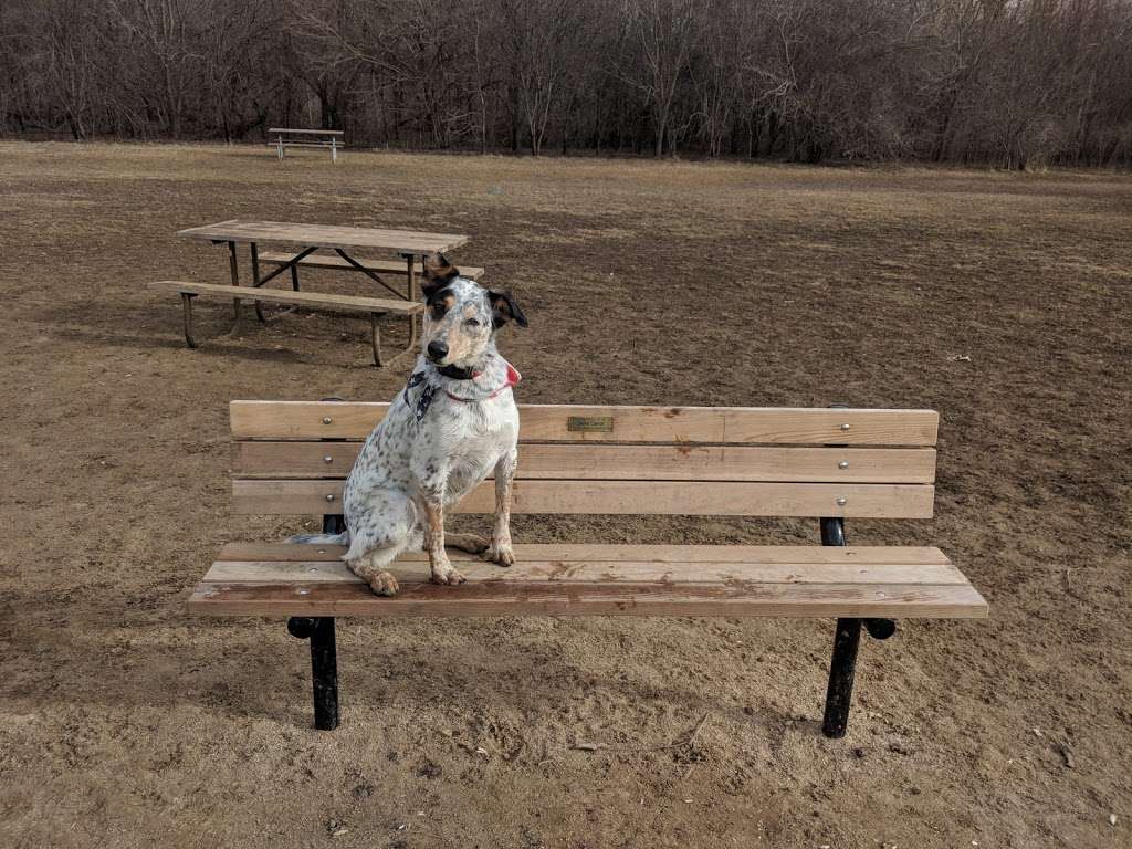 Independence Grove Dog Park | 31531 N Milwaukee Ave, Libertyville, IL 60048, USA | Phone: (847) 367-6640