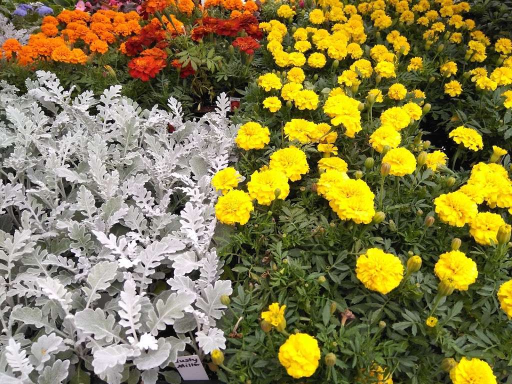 Garden Center At The Home Depot 2000 Peoples Plaza Newark De