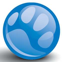BluePearl Veterinary Partners | 1 Taft Ct, Rockville, MD 20850 | Phone: (301) 637-3228