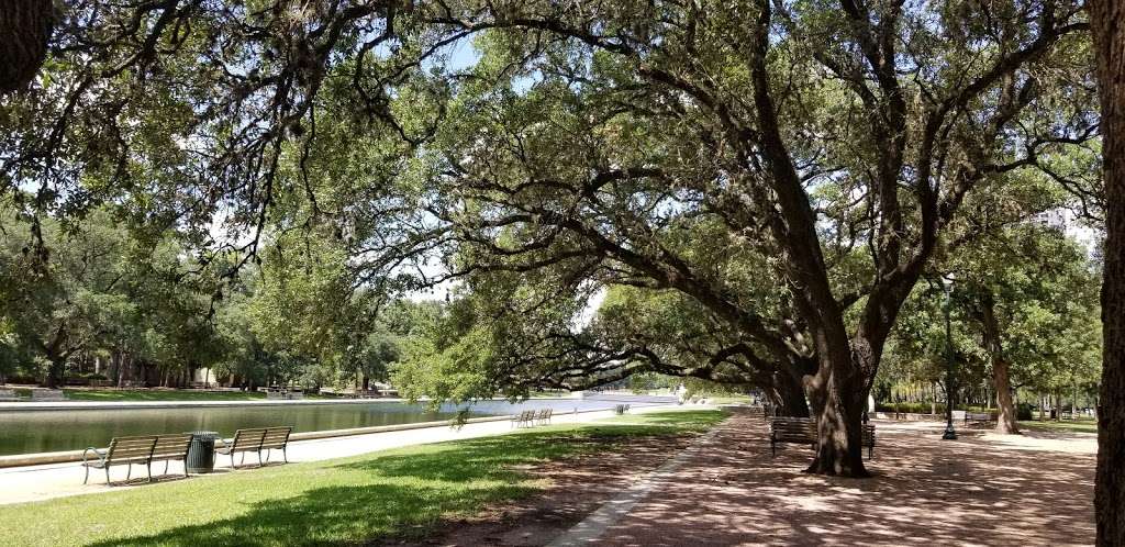 Hermann Park - Ponyta | Concert Drive, Houston, TX 77030, USA