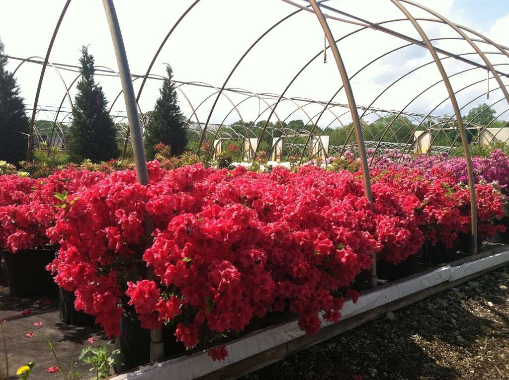 Trent Hill Farm & Nursery | 24 Nutwell Rd, Lothian, MD 20711 | Phone: (410) 867-9415