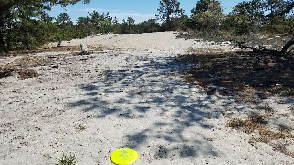 Cape Henlopen Disc Golf Course | Lewes, DE 19958, USA