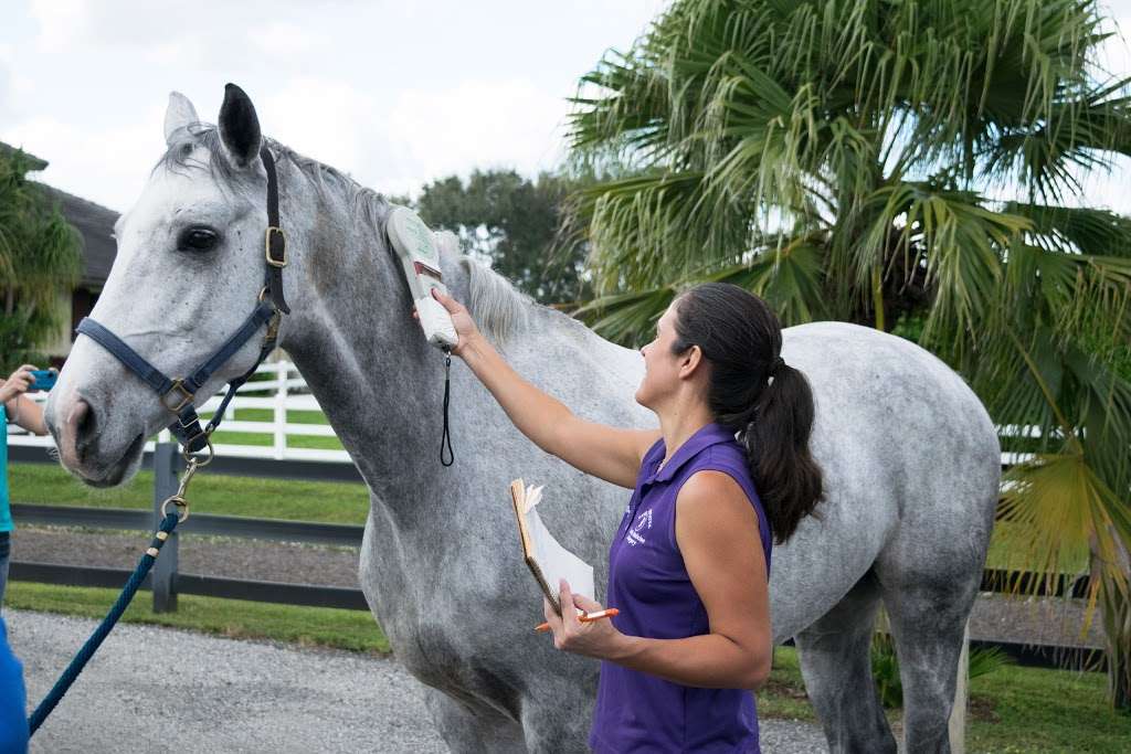 Reid & Associates Equine Clinic | 1630 F Rd, Loxahatchee Groves, FL 33470, USA | Phone: (561) 790-2226