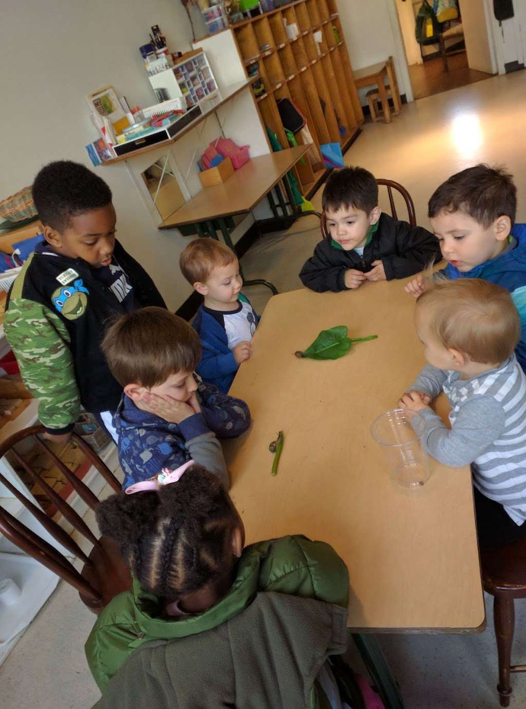 Montessori | 6201 E Willow St, Long Beach, CA 90815, USA | Phone: (562) 896-2361