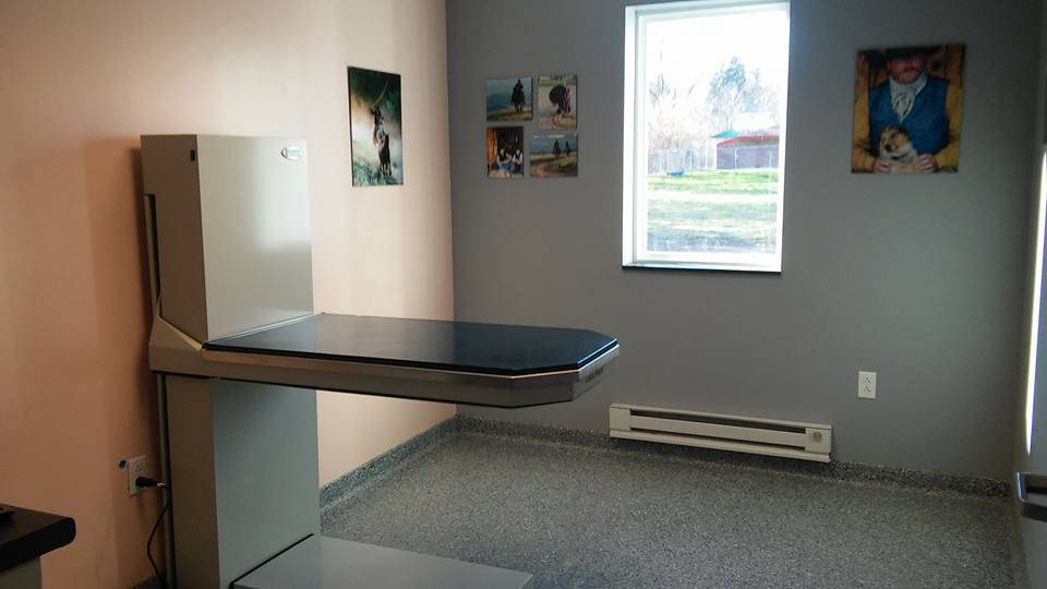 A Step Up Veterinary Clinic | 1060 Clifton Rd, Bethel Park, PA 15102, USA | Phone: (412) 212-0030