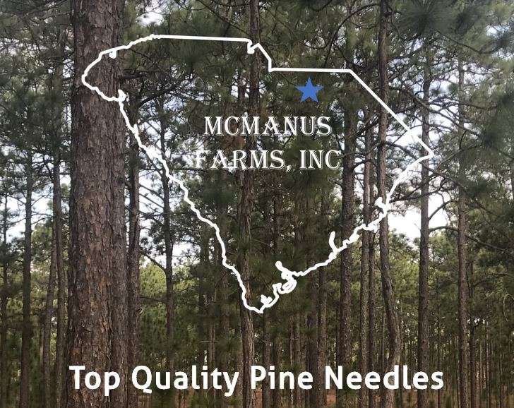 McManus Farms, Inc. | 206 Taxahaw Rd, Pageland, SC 29728, USA | Phone: (843) 672-5908