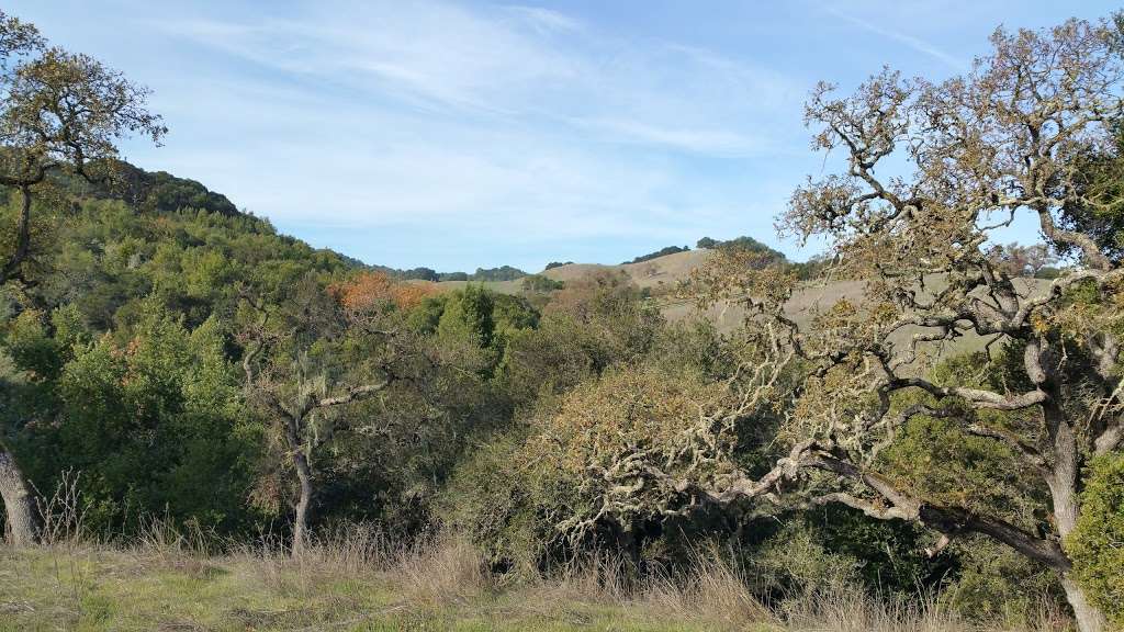 The Preserve Area Trails | The Preserve Area Trails, Pleasanton, CA 94588, USA