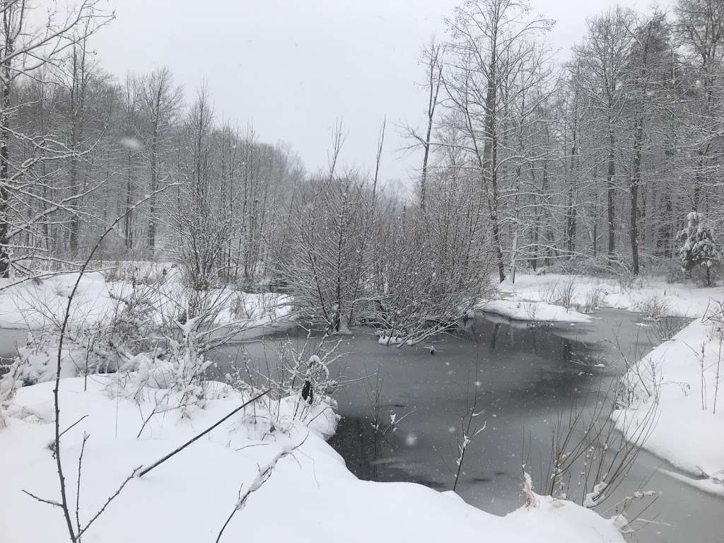 Shannondale Springs Wildlife Management Area East | Harpers Ferry, WV 25425