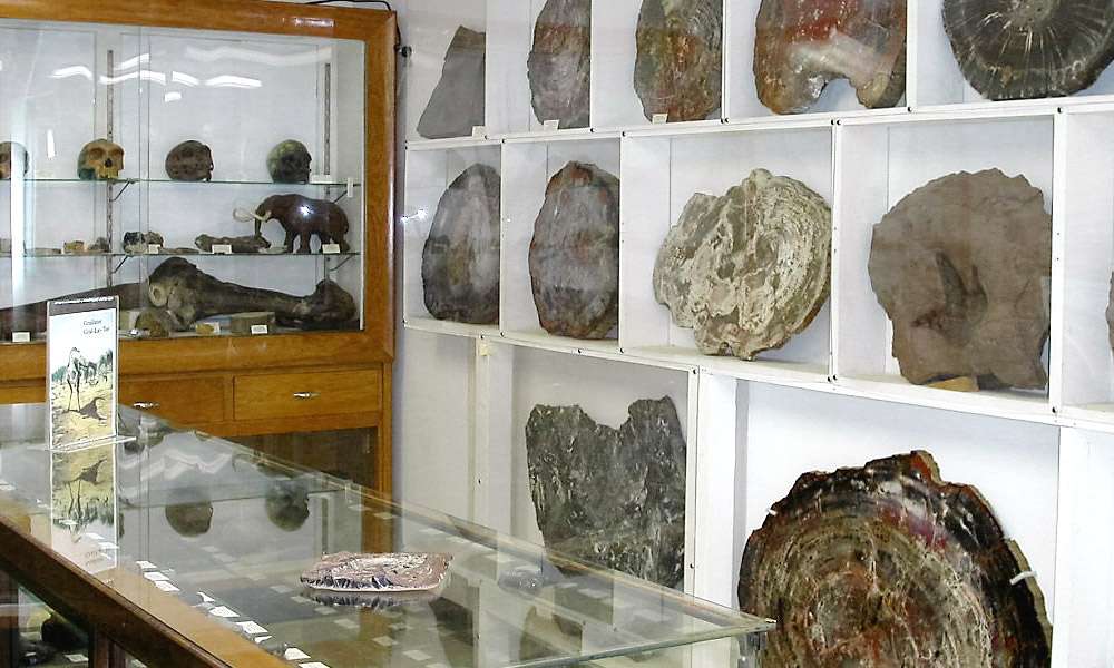 Franklin Mineral Museum Inc | 32 Evans St, Franklin, NJ 07416, USA | Phone: (973) 827-3481