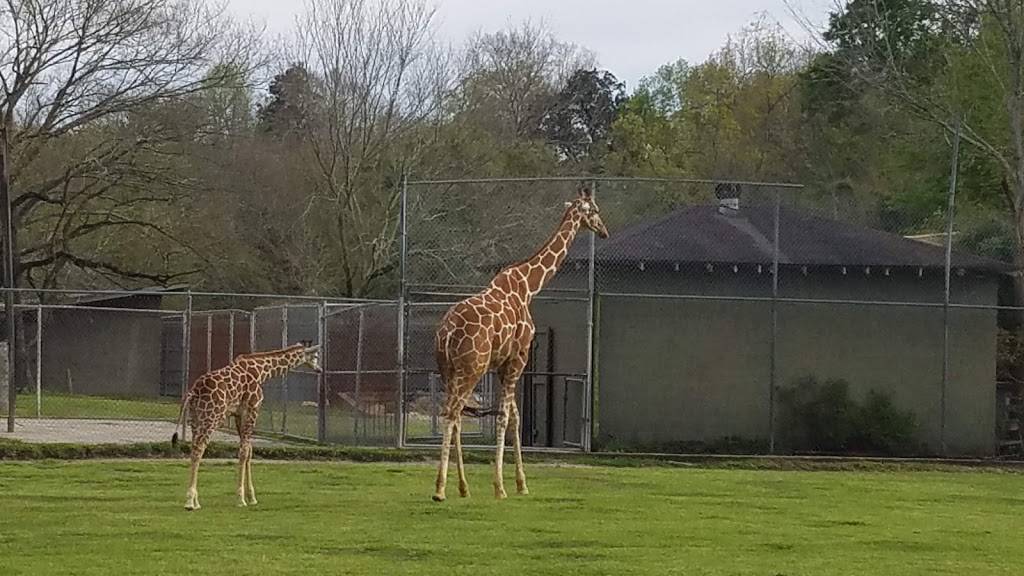 BRECs Baton Rouge Zoo | 3601 Thomas Rd, Baton Rouge, LA 70807, USA | Phone: (225) 775-3877