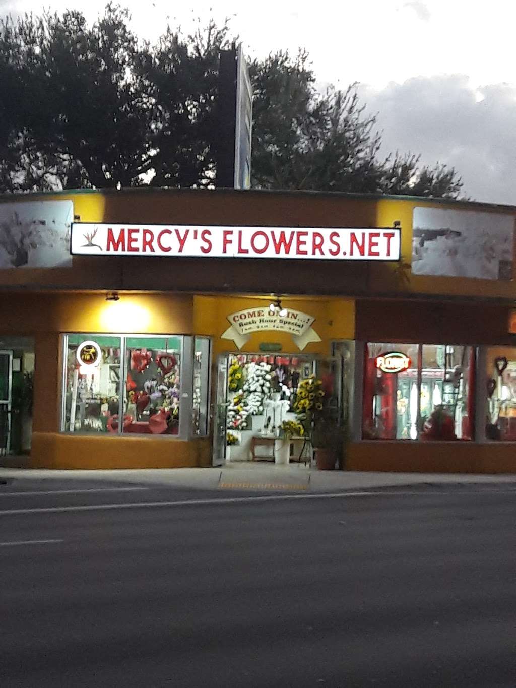 Mercys Flowers | 5500 W Flagler St, Coral Gables, FL 33134 | Phone: (305) 264-5053