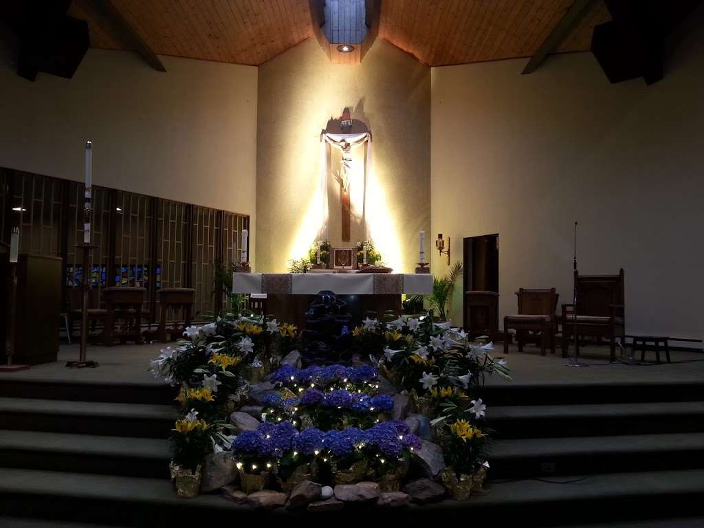 Our Lady of the Immaculate Conception | 898 Centre St, Freeland, PA 18224, USA | Phone: (570) 636-3035