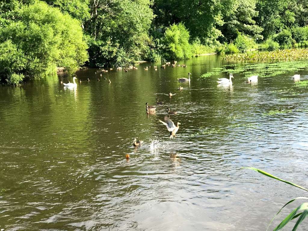 Bethpage State Park Bicycle Path | Bethpage Bikeway, Bethpage, NY 11714, USA