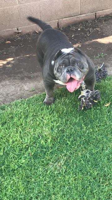 Parking lot Westampton Sports Complex | 500-, 568 Rancocas Rd, Westampton, NJ 08060, USA