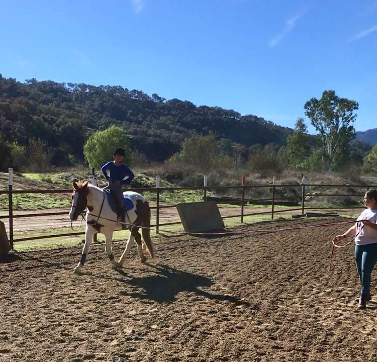 Canty Rune Training Stables | 10480 Creek Rd, Oak View, CA 93022 | Phone: (805) 203-3064
