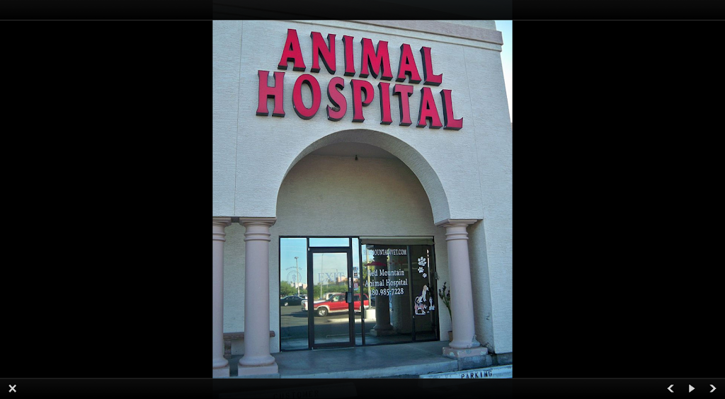 Red Mountain Animal Hospital | 6025 E McKellips Rd Suite 104, Mesa, AZ 85215, USA | Phone: (480) 985-7228