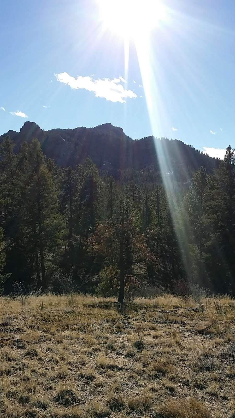 Shingle Mill Trailhead Parking | Pine, CO 80470