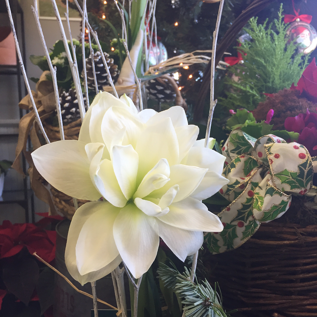 Irenes Flower Shop | 600 Main St, Monroe, CT 06468, USA | Phone: (203) 268-7027